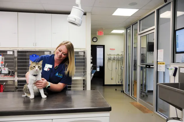 Russell Ridge Animal Hospital