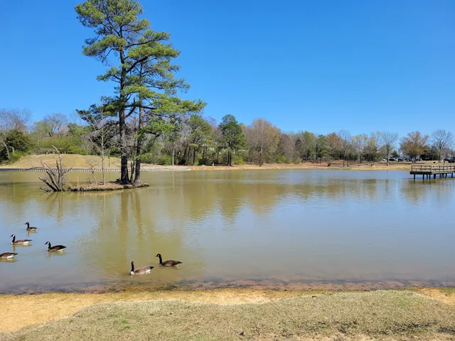 Olive Branch City Parks & Rec