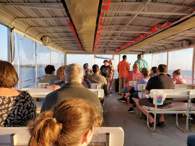 Dolphin Tours of Jekyll Island