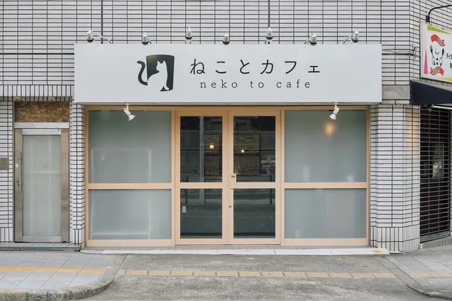 ねことカフェ大阪天王寺店