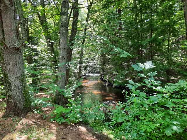 Spencer State Forest