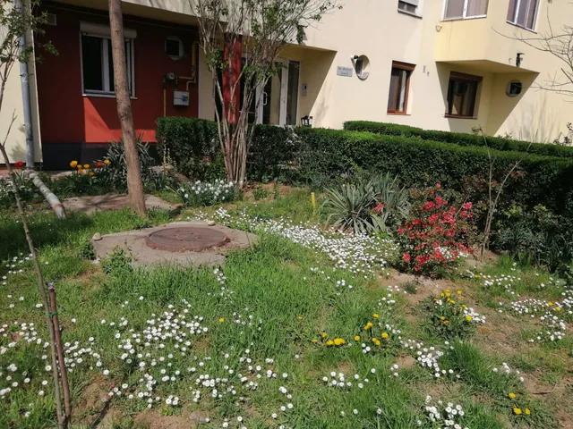 Timișoara - Apartament - Regim Hotelier