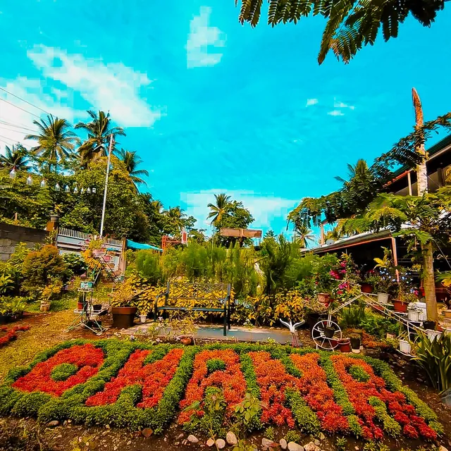 Ohana Pool and Pension House