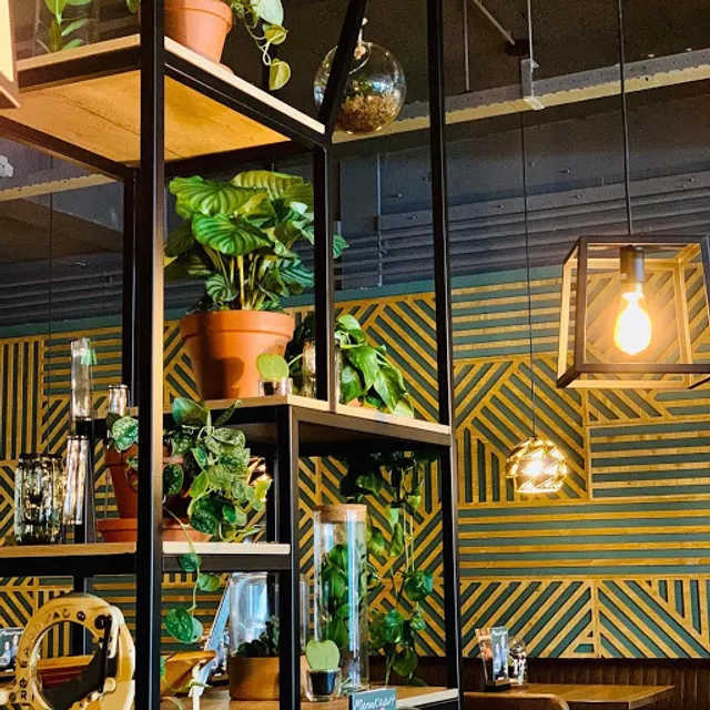 Brownies&downieS Assen