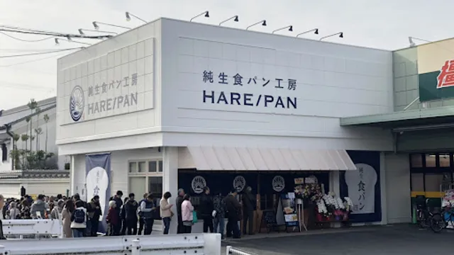 Hare/Pan