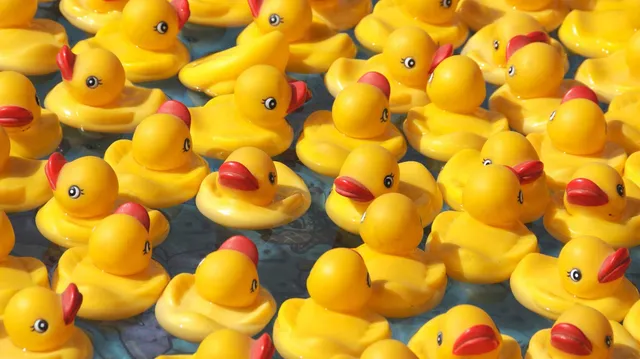 State Fair of Virginia