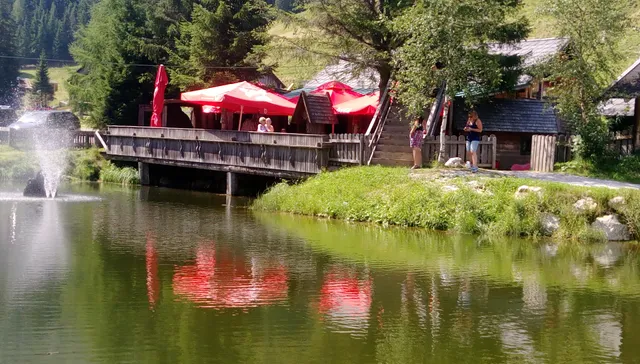 Schmiedalm - Ferienhaus auf der Alm