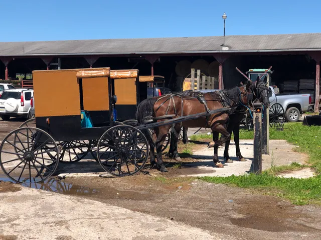 Duke Whiting Auctioneer