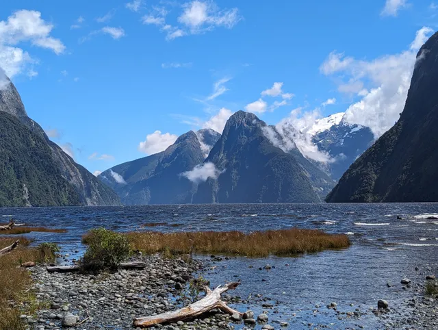 Milford Sound Foreshore Walk