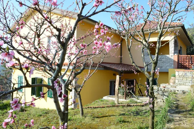 Azienda Agrituristica I TRE GRAPPOLI
