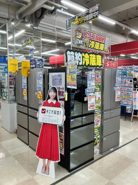 Edion Okazaki Honten