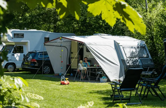 Camping Rijsterbos