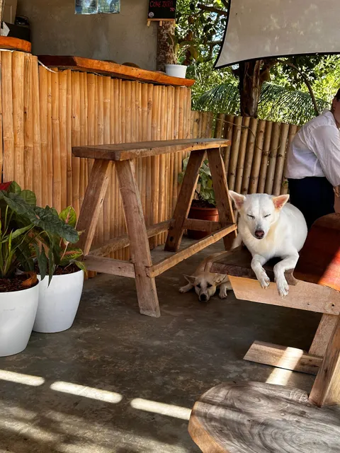 Firefly Treehouse Cafe and Bar