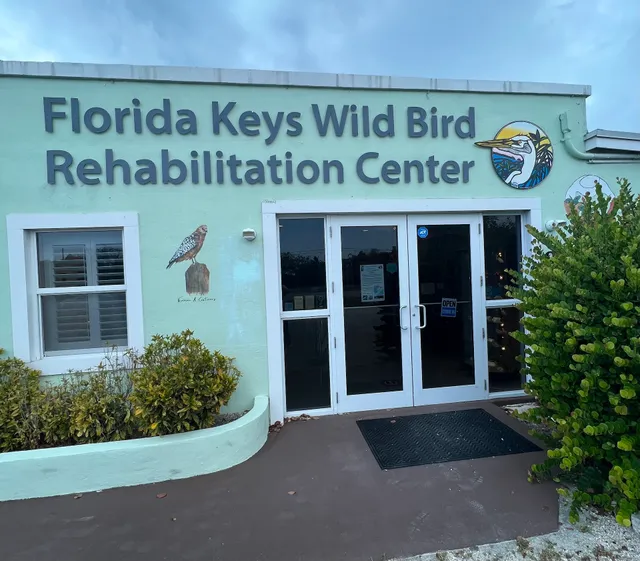 Wild Bird Hospital - Florida Keys Wild Bird Center