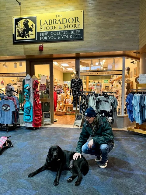 The Labrador Store and More