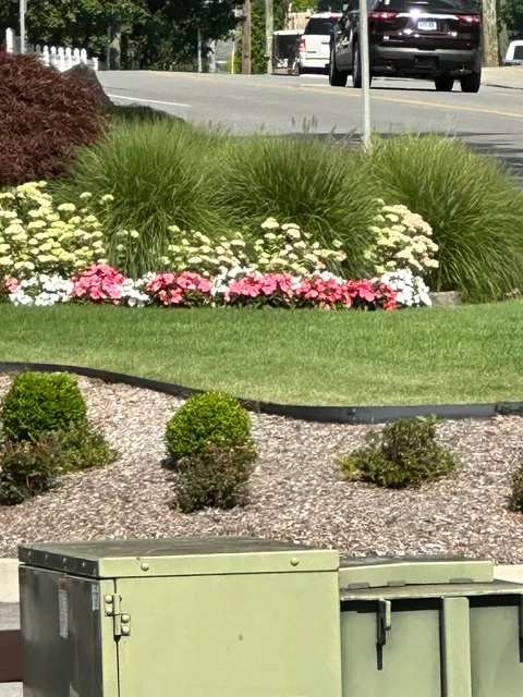 American Distilling Inc.