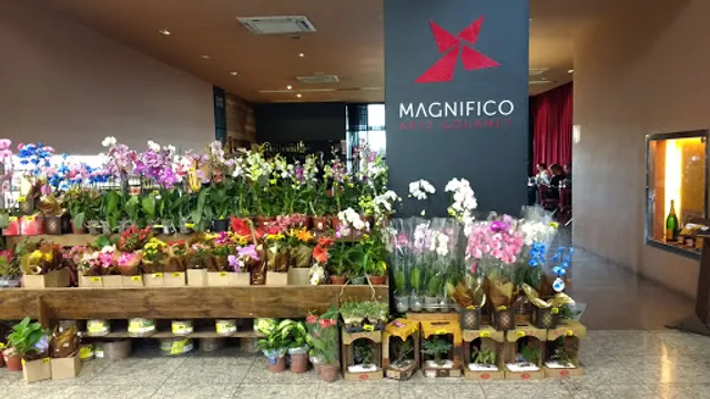 Magnífico Arte Gourmet