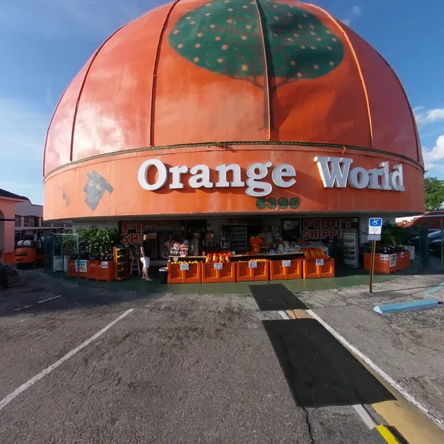 Eli’s Orange World