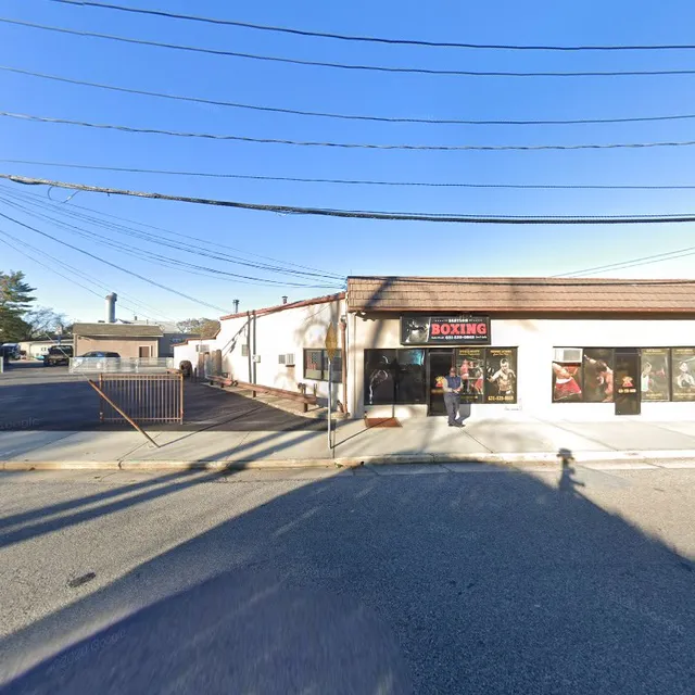 Visual TV and Video Corp.