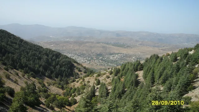 Shouf Cedars