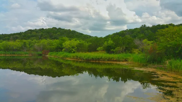 Cedar Mountain - Dallas County Nature Preserve