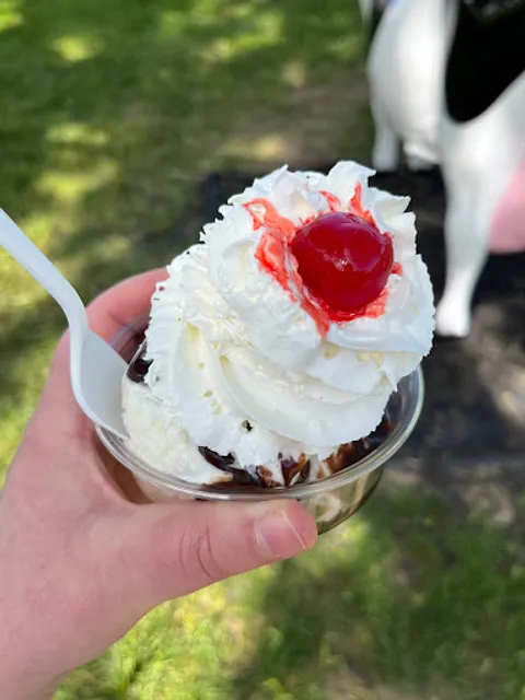 The Jolly Cow P.E. - Rainbow Cow