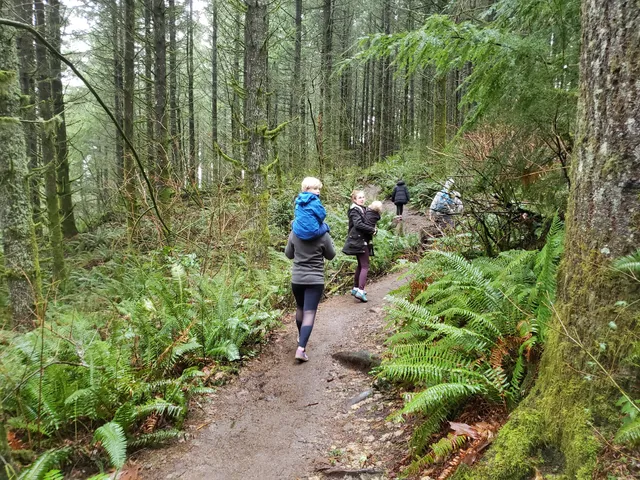 23800 Tiger Mountain