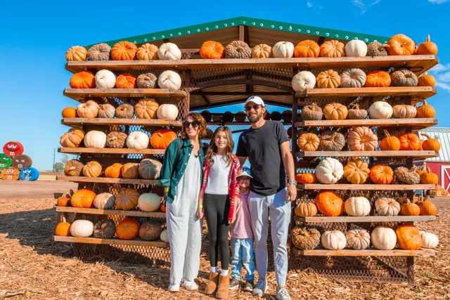 Maxwell's Pumpkin Farm