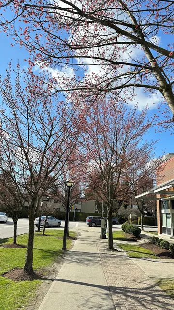 Burnaby Public Library Parking