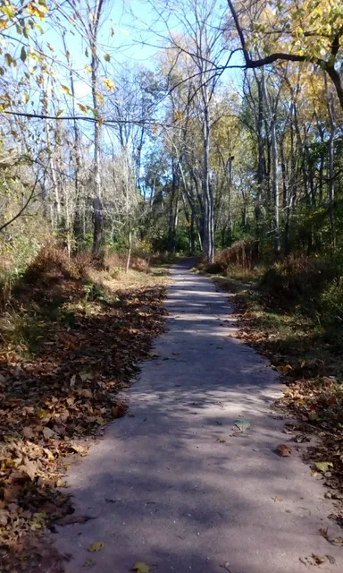 Flatlick Stream Valley Park