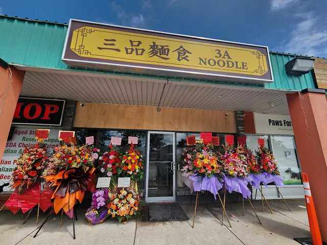 3A Noodle 三品麵食 (Markham)