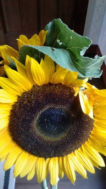 Lowell Farmers' Market