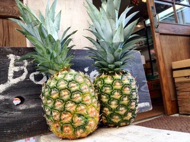 Bonnie Tone(プロ向け青果店)