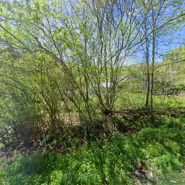 Chrysalis Earth Farm