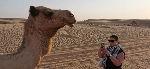 Luxury Desert Safari Dubai