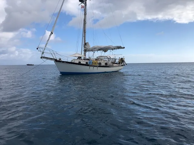 Ortho 1 Medical Group