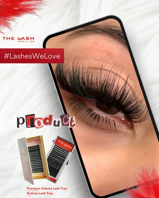 The Lash Supply - San Diego CA