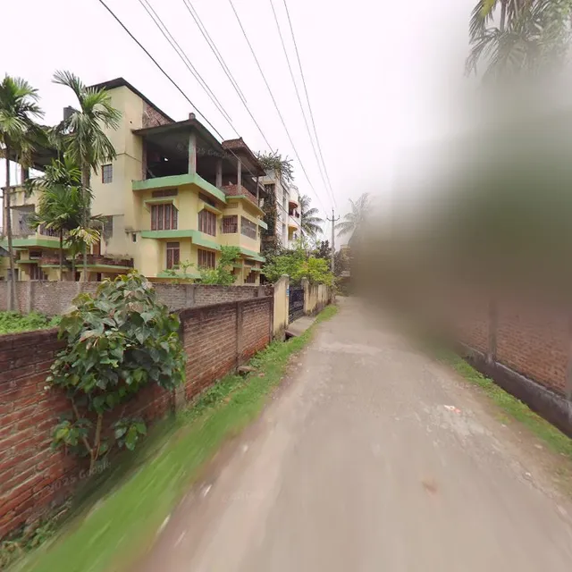 OYO 8174 Maple Exotic