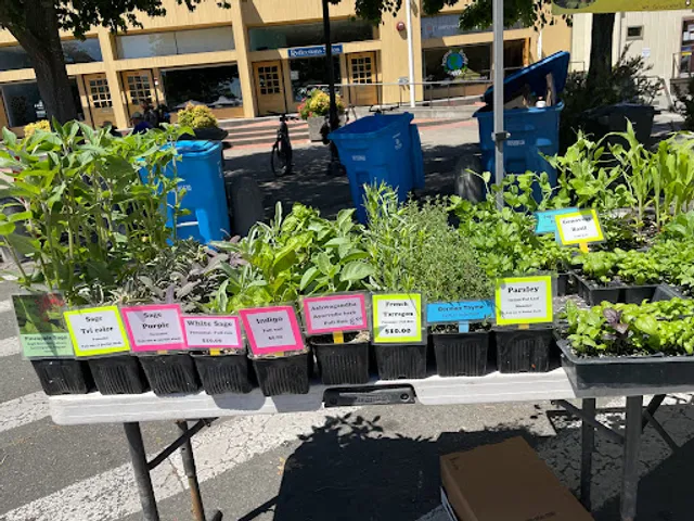 The Sebastopol Farmers' Market