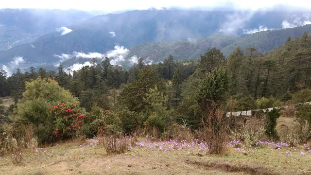Trekking In Bhutan