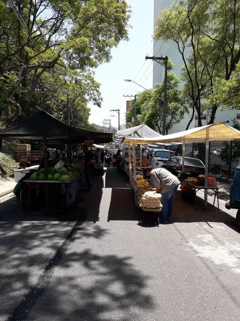 Free markets Santana