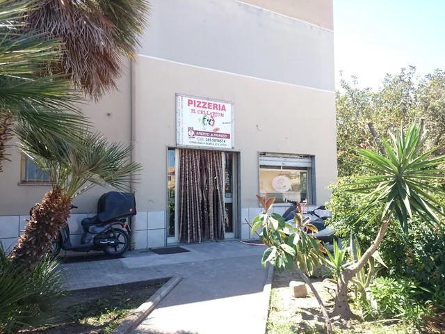 Pizzeria Non Solo Pizza