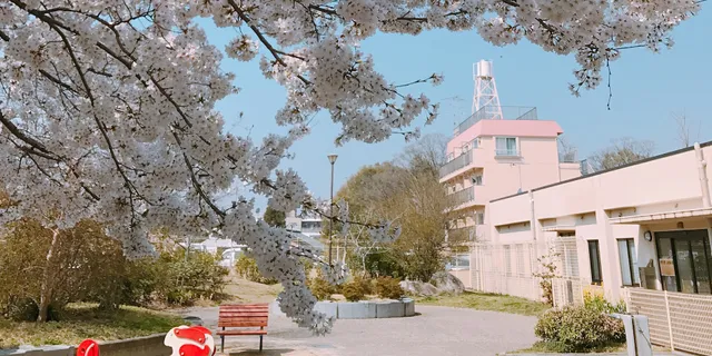 On My Way Kyoto GuestHouse & Hostel