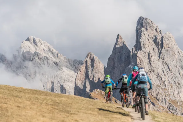 Mountainbike School and rental