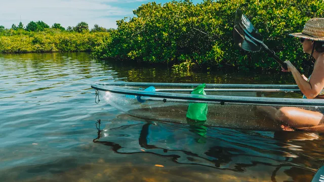 Get Up and Go Kayaking - Tarpon Springs