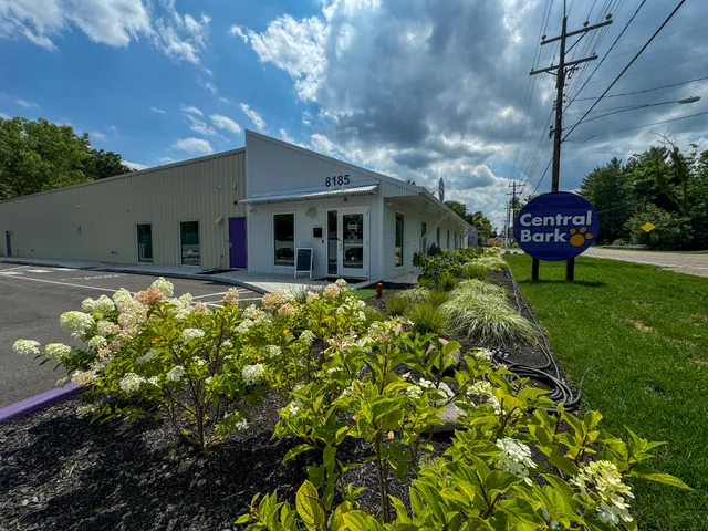 Central Bark Madeira Indian Hill