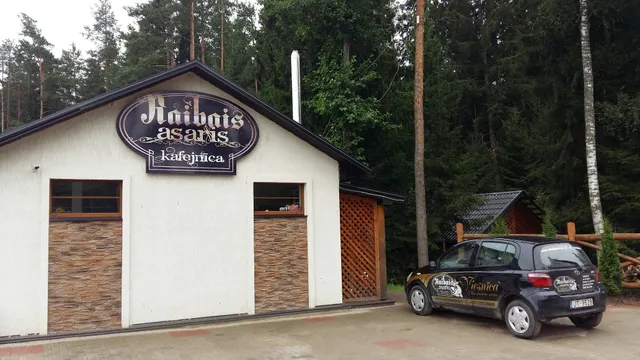 Viesu Nams Raibais Asaris