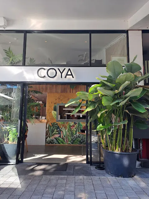 Coya