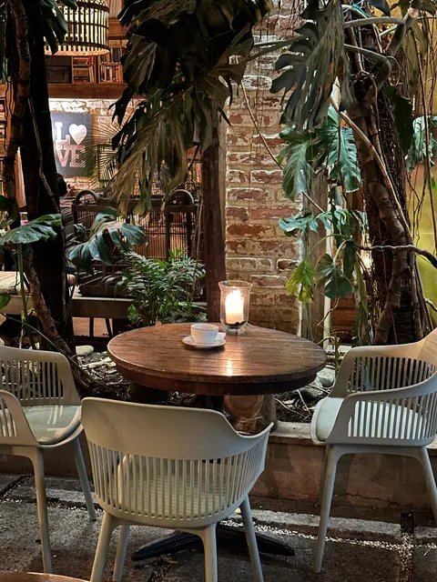 Café Libro Casa Alebrije