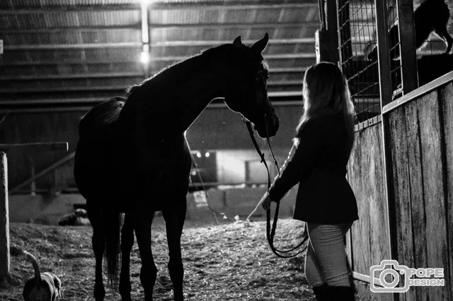 Escuela de Equitación San Francisco